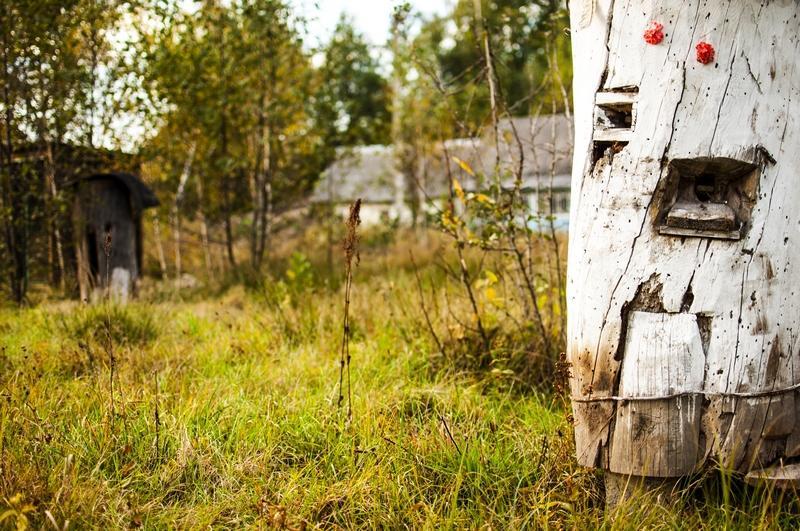 "Дальний Кордон" Hotel Moshchanytsya Eksteriør billede